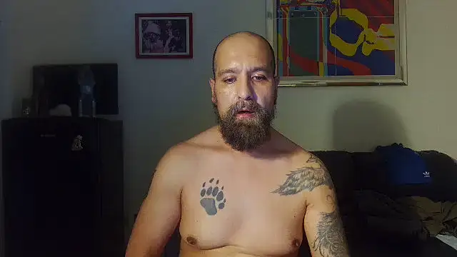 AMIRDIB2025 웹캠 쇼