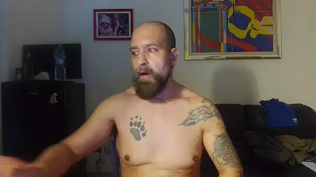 Show Webcam de AMIRDIB2025