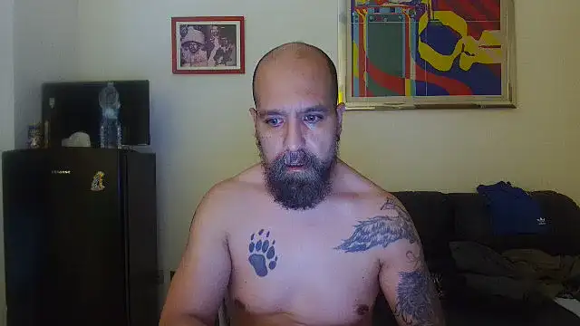Show de AMIRDIB2025 na webcam
