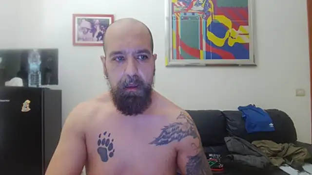 Show de webcam de AMIRDIB2025