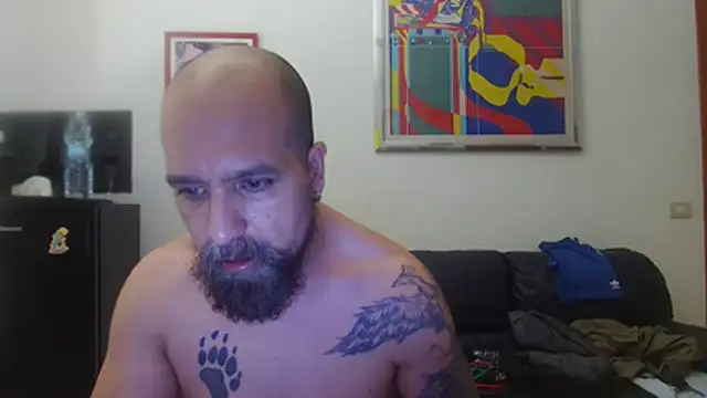 AMIRDIB2025 – webcam-show