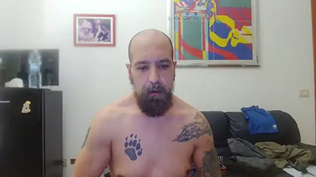 AMIRDIB2025 Webcamshow