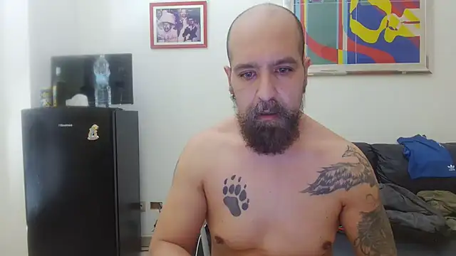 AMIRDIB2025 Webcam show