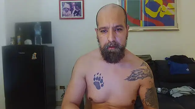 Webkamerová show AMIRDIB2025