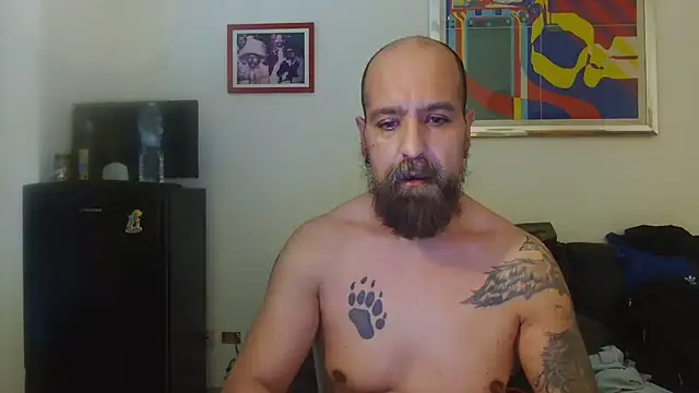 Show de AMIRDIB2025 na webcam