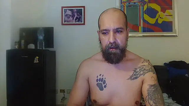Show webcam de AMIRDIB2025