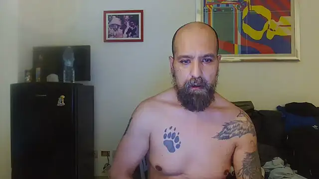 عرض كام AMIRDIB2025
