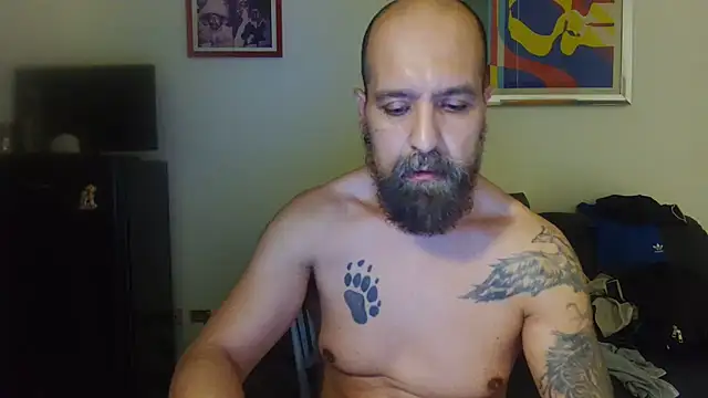 AMIRDIB2025 Show in webcam
