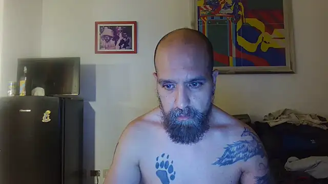 Show Webcam de AMIRDIB2025