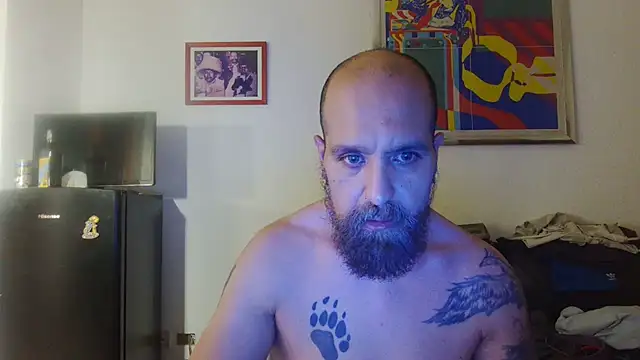 AMIRDIB2025 webcam show