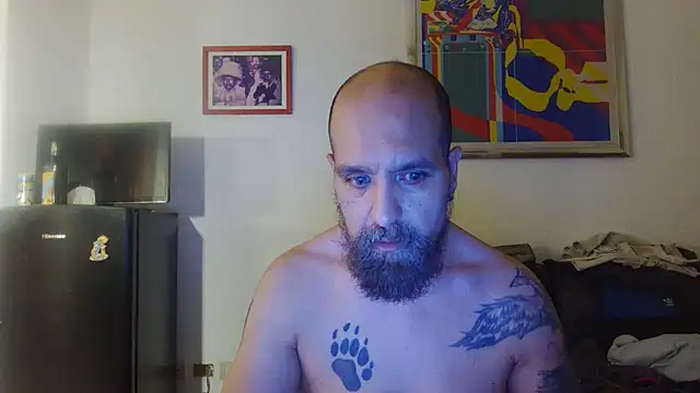 AMIRDIB2025 Webcam-Show
