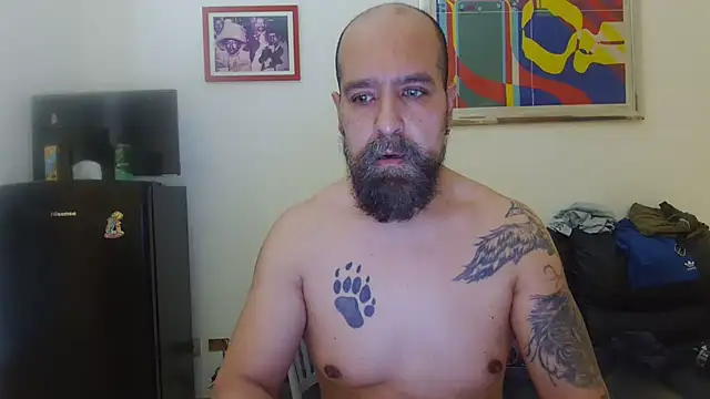 AMIRDIB2025 Webcam-Show