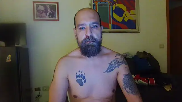 AMIRDIB2025n Webbikameraesitys