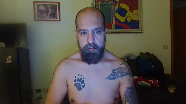AMIRDIB2025 Webcam show