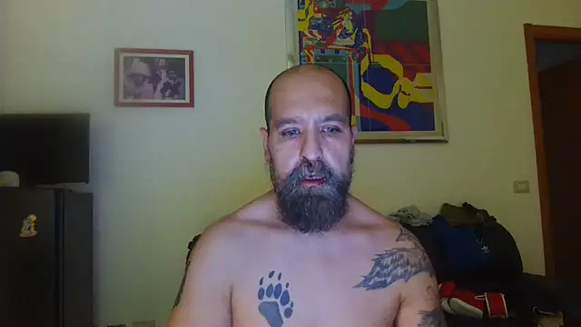 Show de webcam de AMIRDIB2025