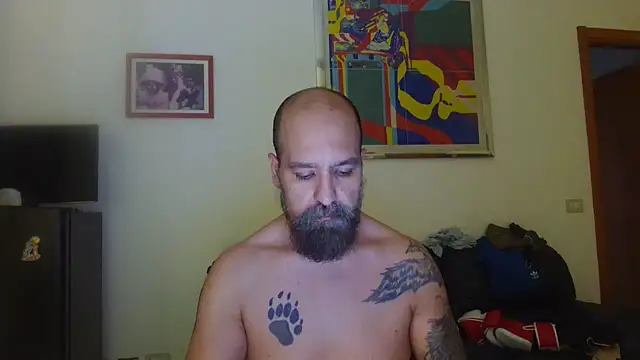 AMIRDIB2025 网络视讯表演
