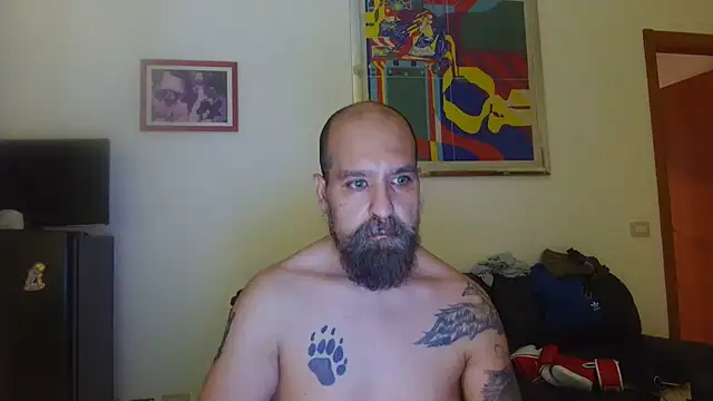 Show Webcam de AMIRDIB2025