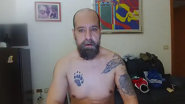 AMIRDIB2025: вебкам-шоу
