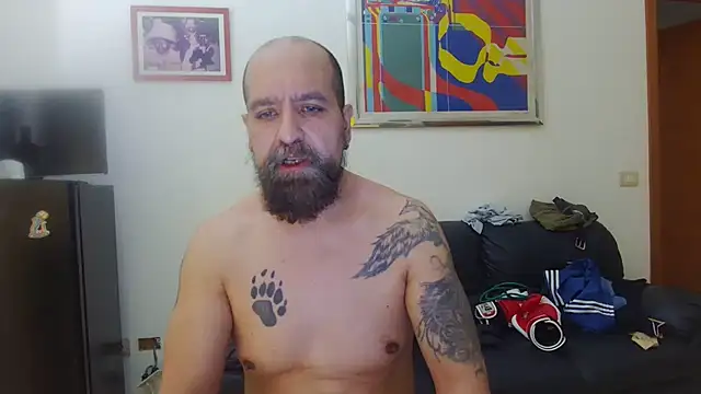 AMIRDIB2025: вебкам-шоу