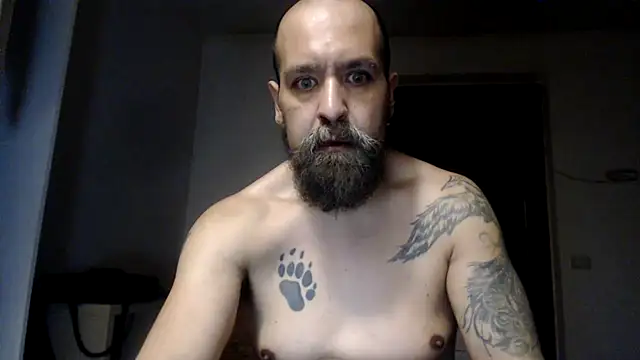 AMIRDIB2025 Pertunjukan Webcam