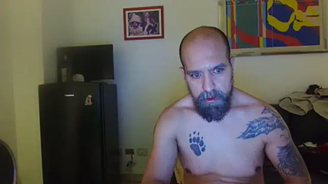 AMIRDIB2025 webcam show