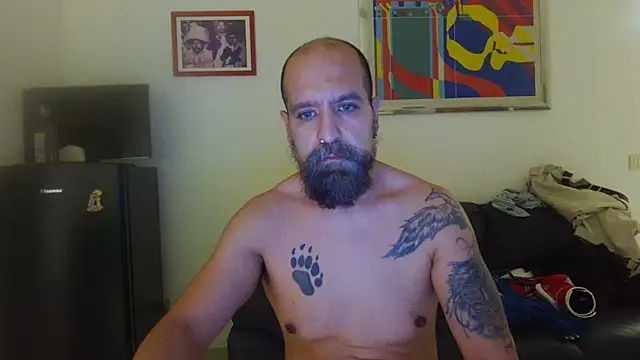 AMIRDIB2025 Show in webcam