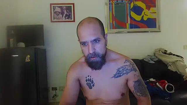 AMIRDIB2025: вебкам-шоу