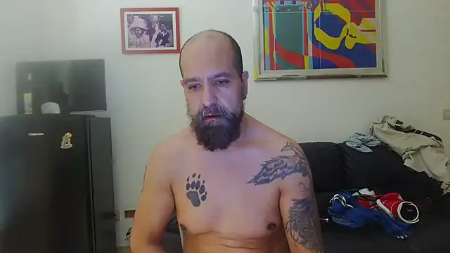 AMIRDIB2025 webcam show