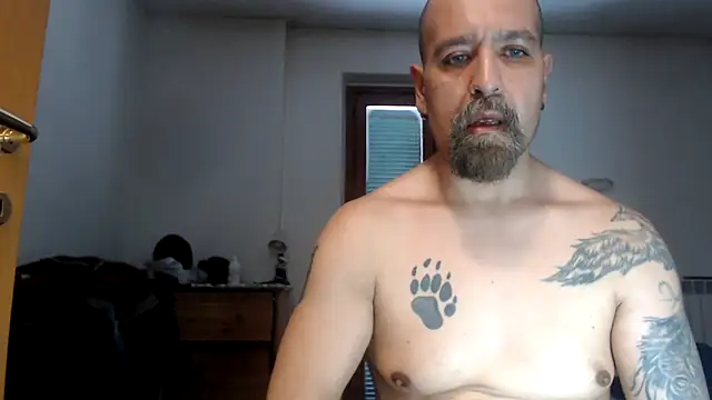 عرض كام AMIRDIB2025
