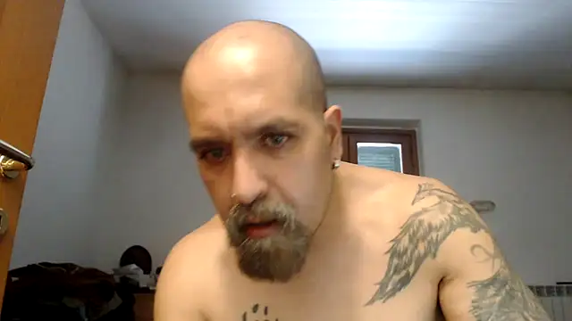 Show de AMIRDIB2025 na webcam