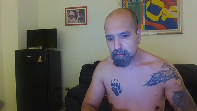 Show webcam de AMIRDIB2025