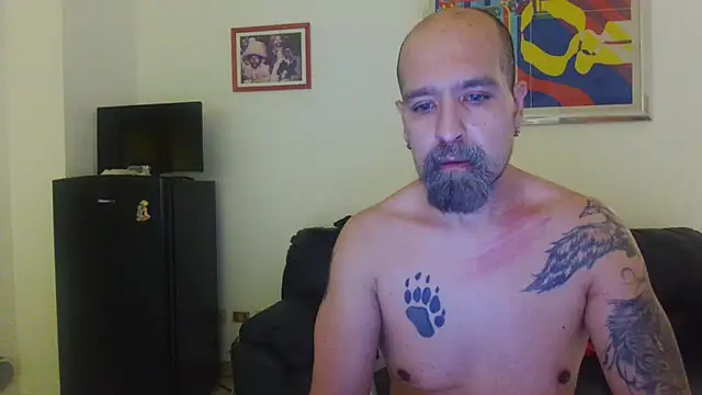 AMIRDIB2025 웹캠 쇼
