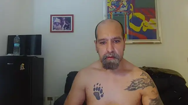 Show de webcam de AMIRDIB2025