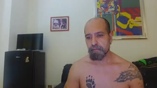 AMIRDIB2025 웹캠 쇼