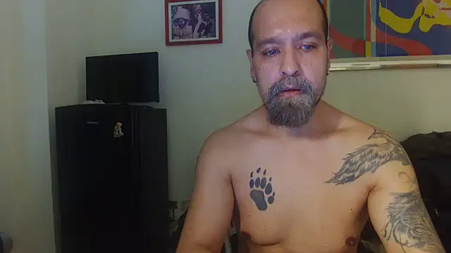 AMIRDIB2025 Webcam show