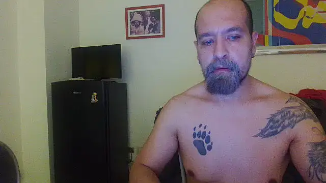 Webkamerová show AMIRDIB2025