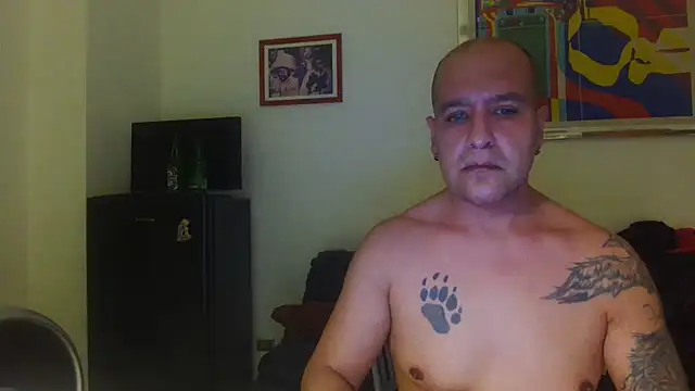 عرض كام AMIRDIB2025