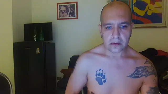 AMIRDIB2025's Webcam Show