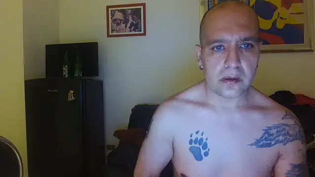 Show de AMIRDIB2025 na webcam
