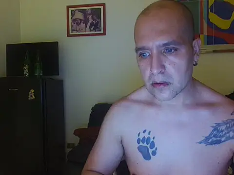 Show de AMIRDIB2025 na webcam