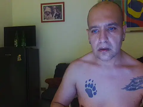 AMIRDIB2025n Webbikameraesitys