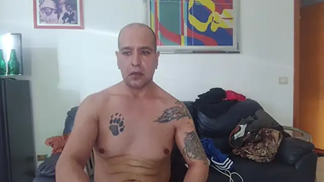 Webkamerová show AMIRDIB2025