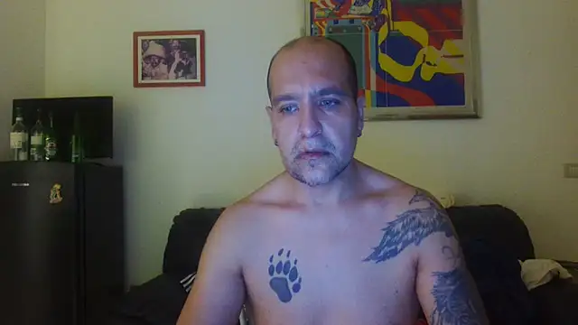 Show webcam de AMIRDIB2025