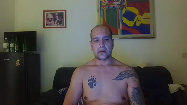 AMIRDIB2025 Show Webcam