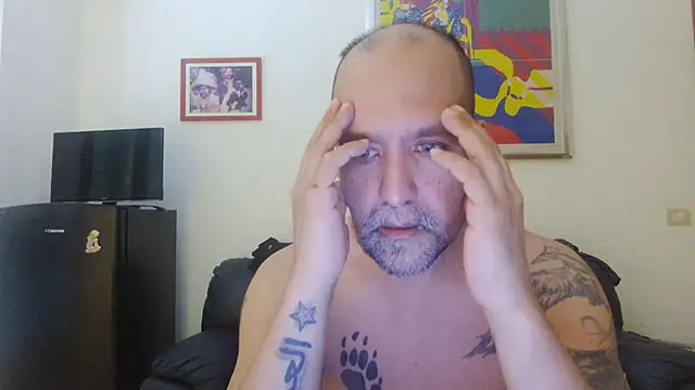 Show Webcam de AMIRDIB2025