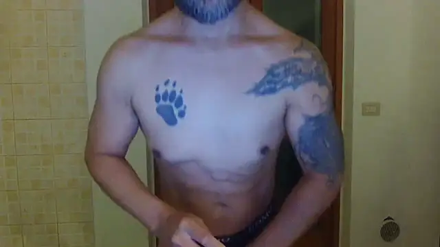 Show de AMIRDIB2025 na webcam