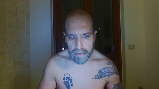 AMIRDIB2025 Webcam Show