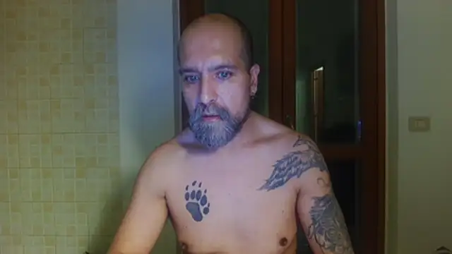 AMIRDIB2025 Webcam show