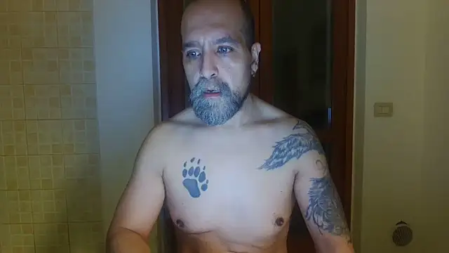 AMIRDIB2025 Show in webcam