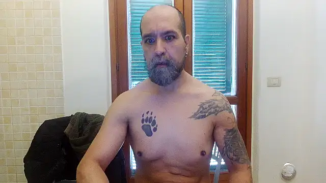 Show webcam de AMIRDIB2025
